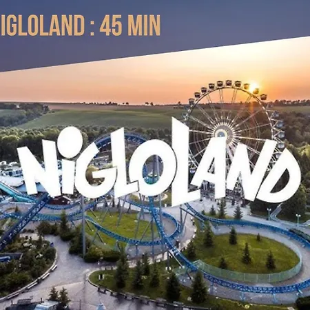 Le P'tit Nid - Cosy Et Lumineux - Mon Groom Διαμέρισμα